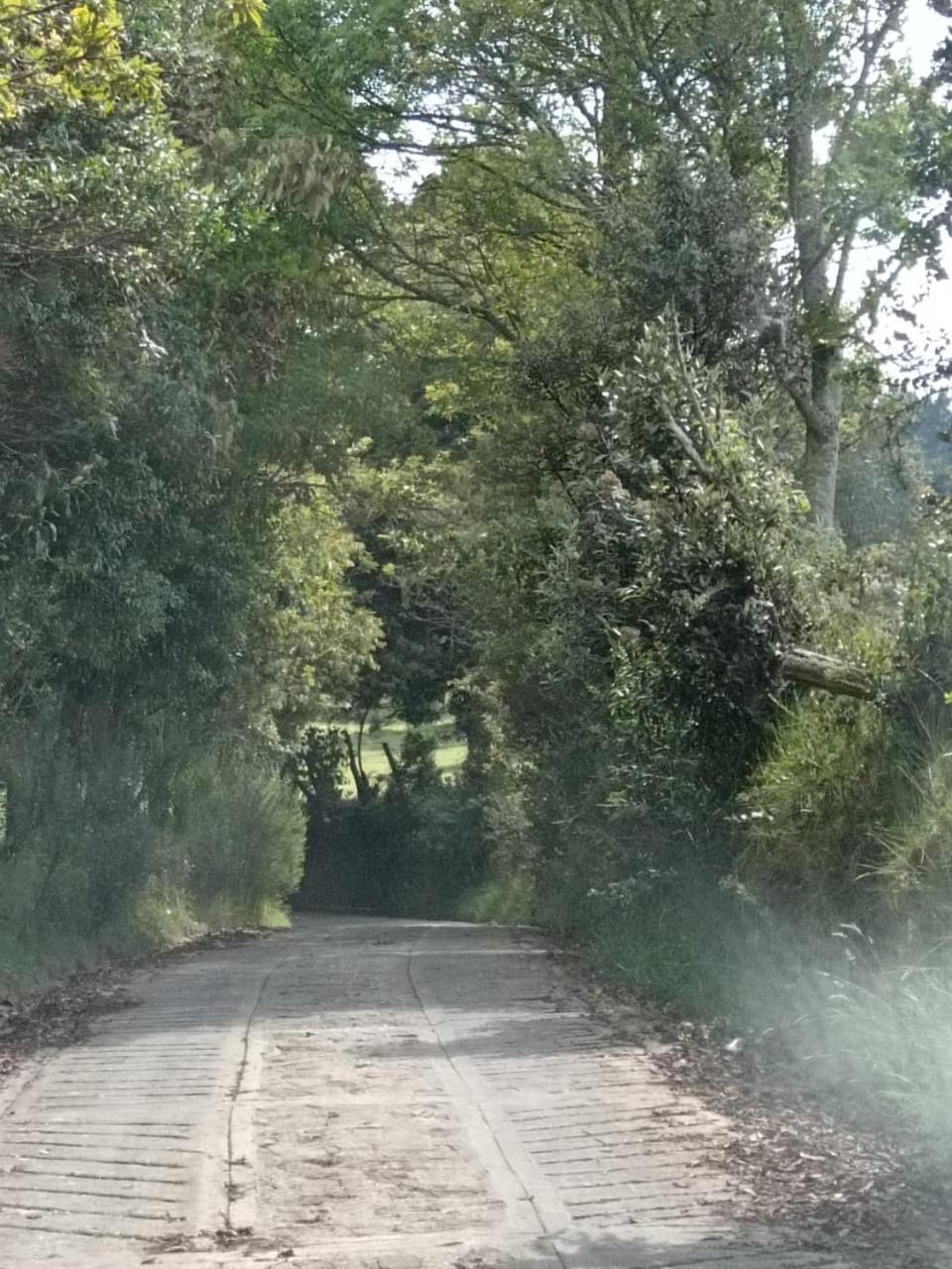 Severo Refugio Villa