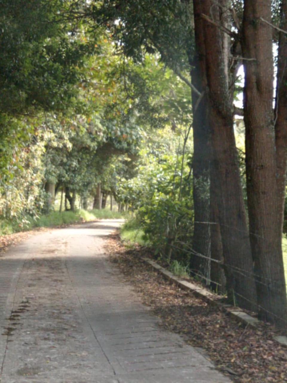 Severo Refugio *