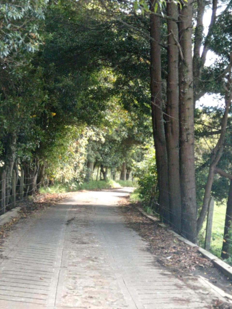 Severo Refugio Villa *
