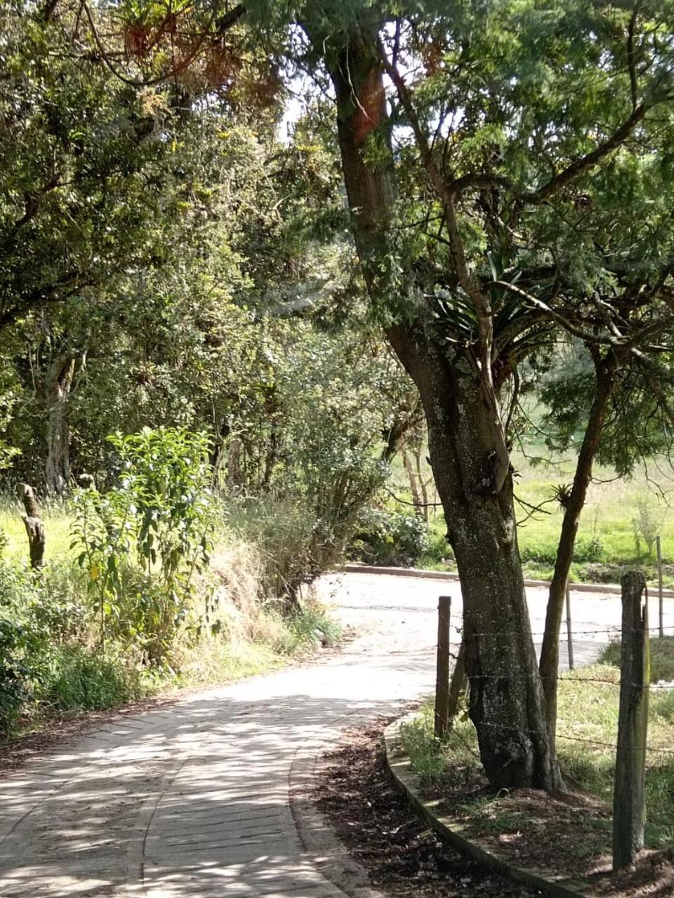 Severo Refugio Zipaquira